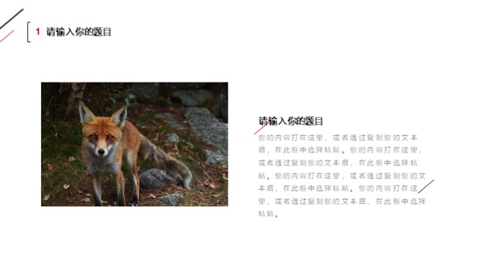 简洁大气时尚大学社团换届竞选ppt模板