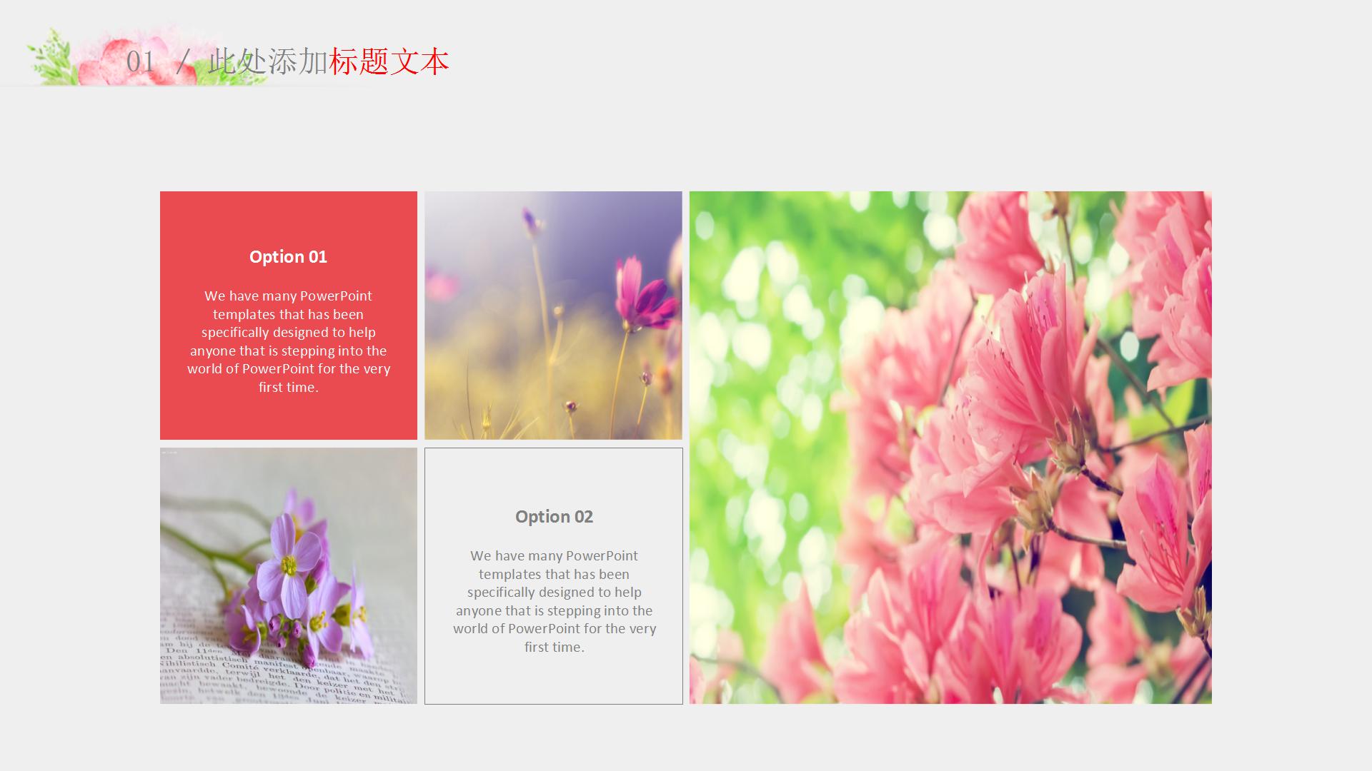 清新文艺学生会年度总结ppt模板下载