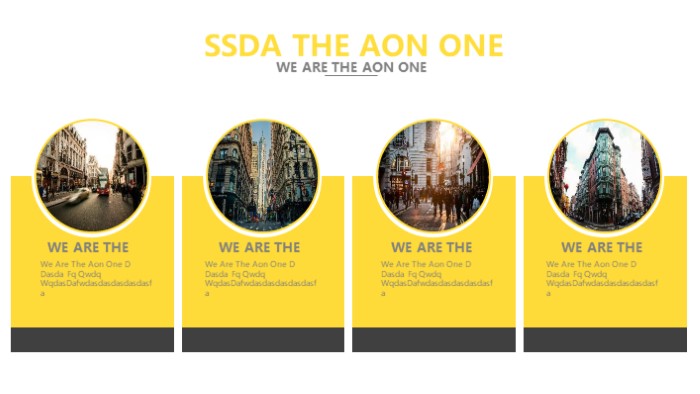 简洁清新大气前端转正申请ppt模板