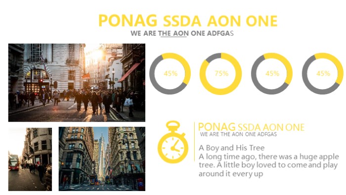 简洁清新大气前端转正申请ppt模板