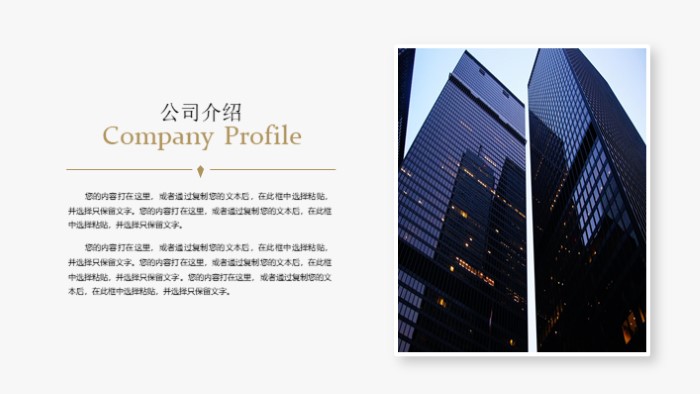 时尚清新大气品牌服务设计案例ppt模板