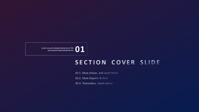 简洁时尚大气软件开发投标ppt模板