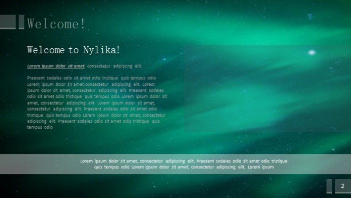 清新大气时尚软件项目投标ppt模板