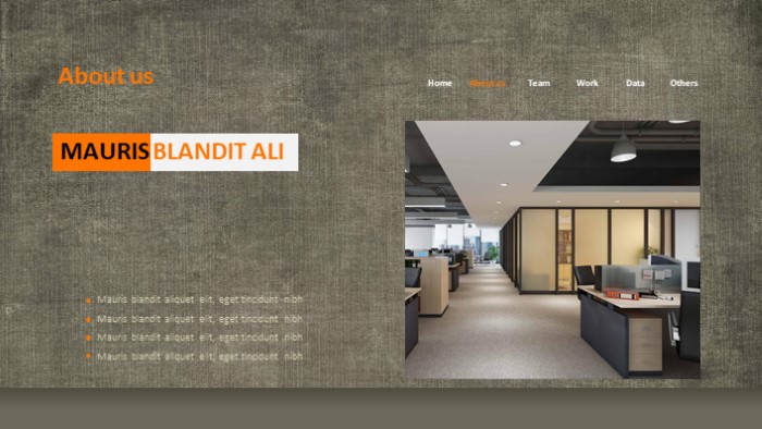 简洁清新时尚房产项目发展历程ppt模板