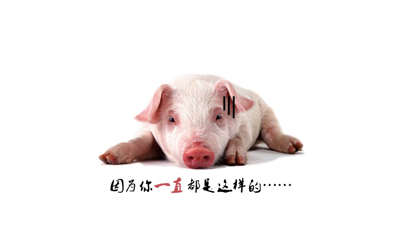 时尚简约大气为朋友庆生ppt模板