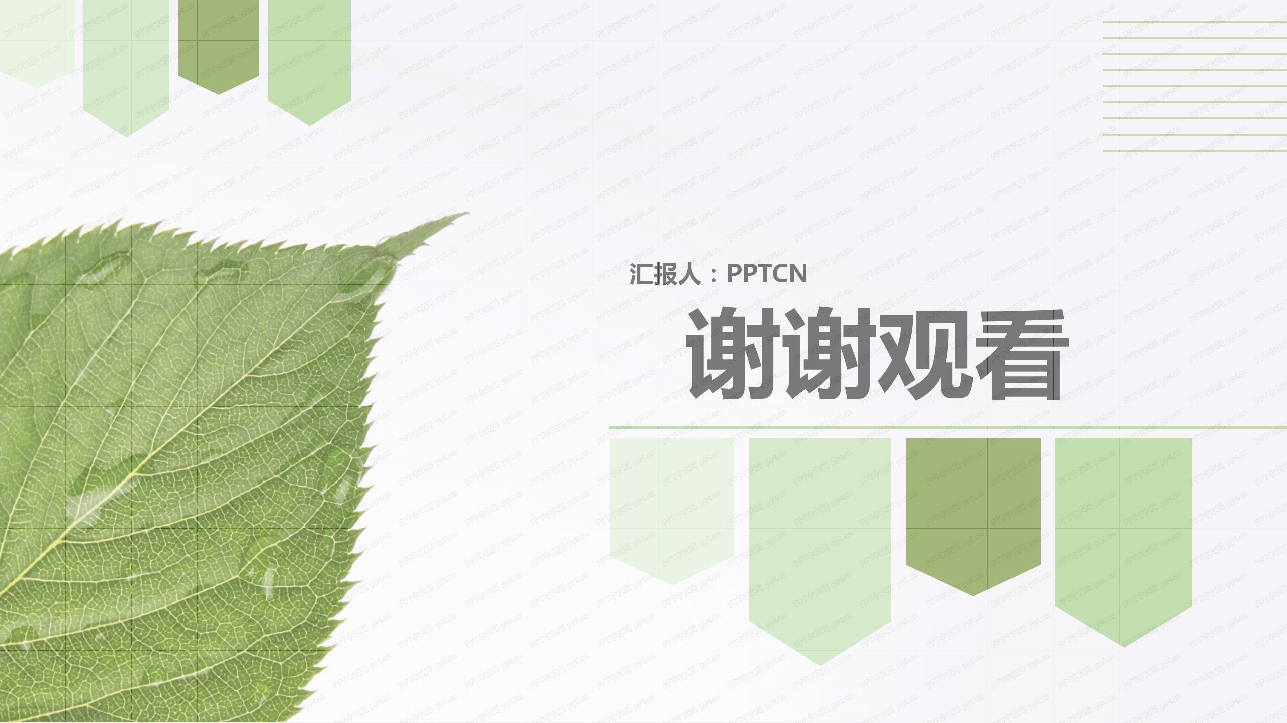 绿色简约叶子企业团建总结汇报ppt模板