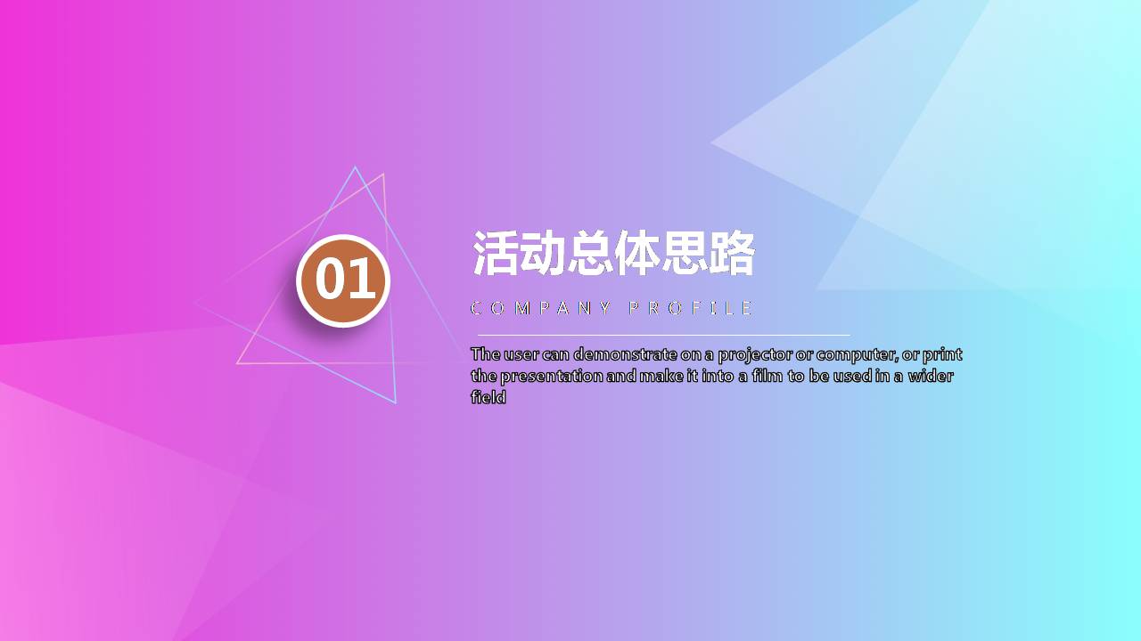 时尚简约大气商务策划案ppt模板