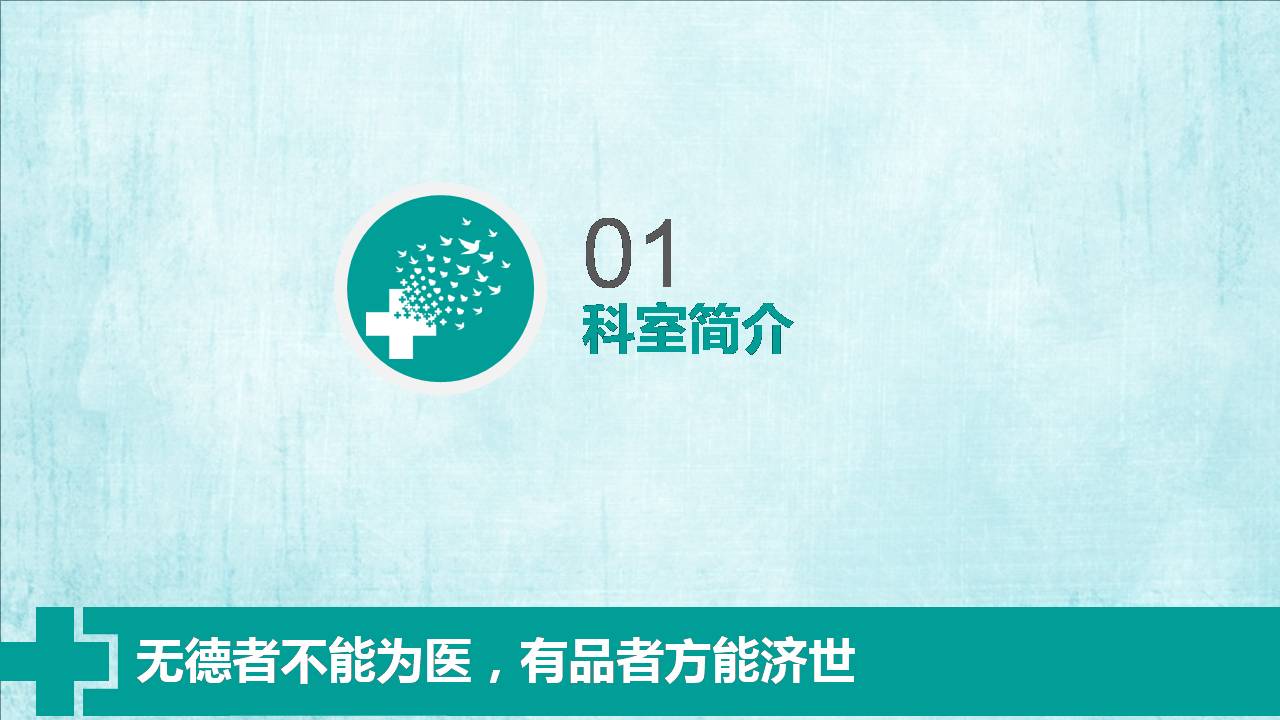 时尚简约大气医院科室ppt模板