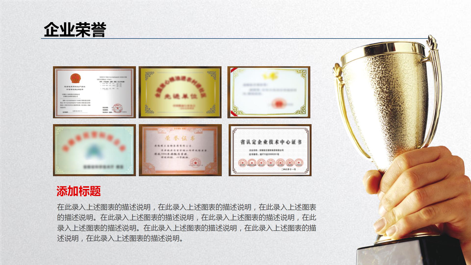 财务工作总结暨新年计划PPT模板