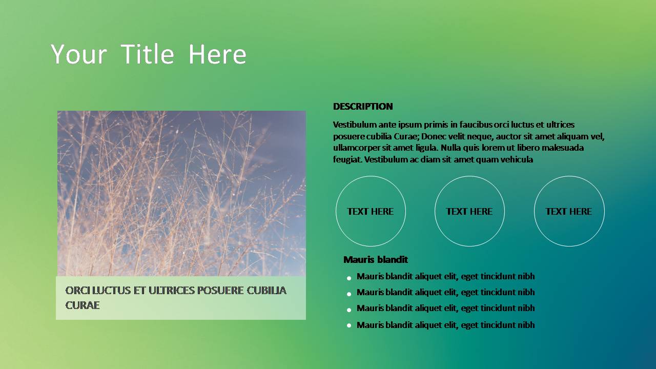 时尚简约大气苹果风格ppt简洁