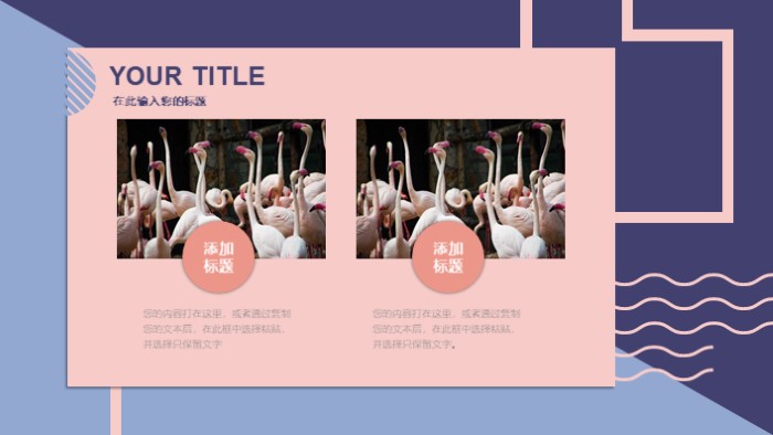 简洁清新大气平台运营工作周报ppt模板