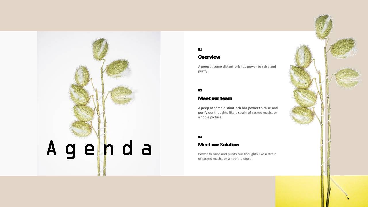 时尚简约大气超好看的杂志风ppt背景图片模板