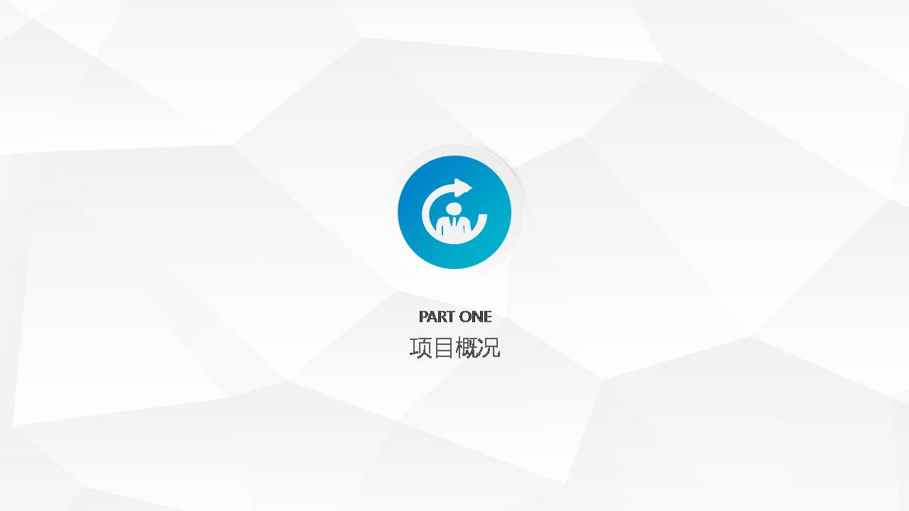 时尚简约大气项目立项述职报告ppt模板