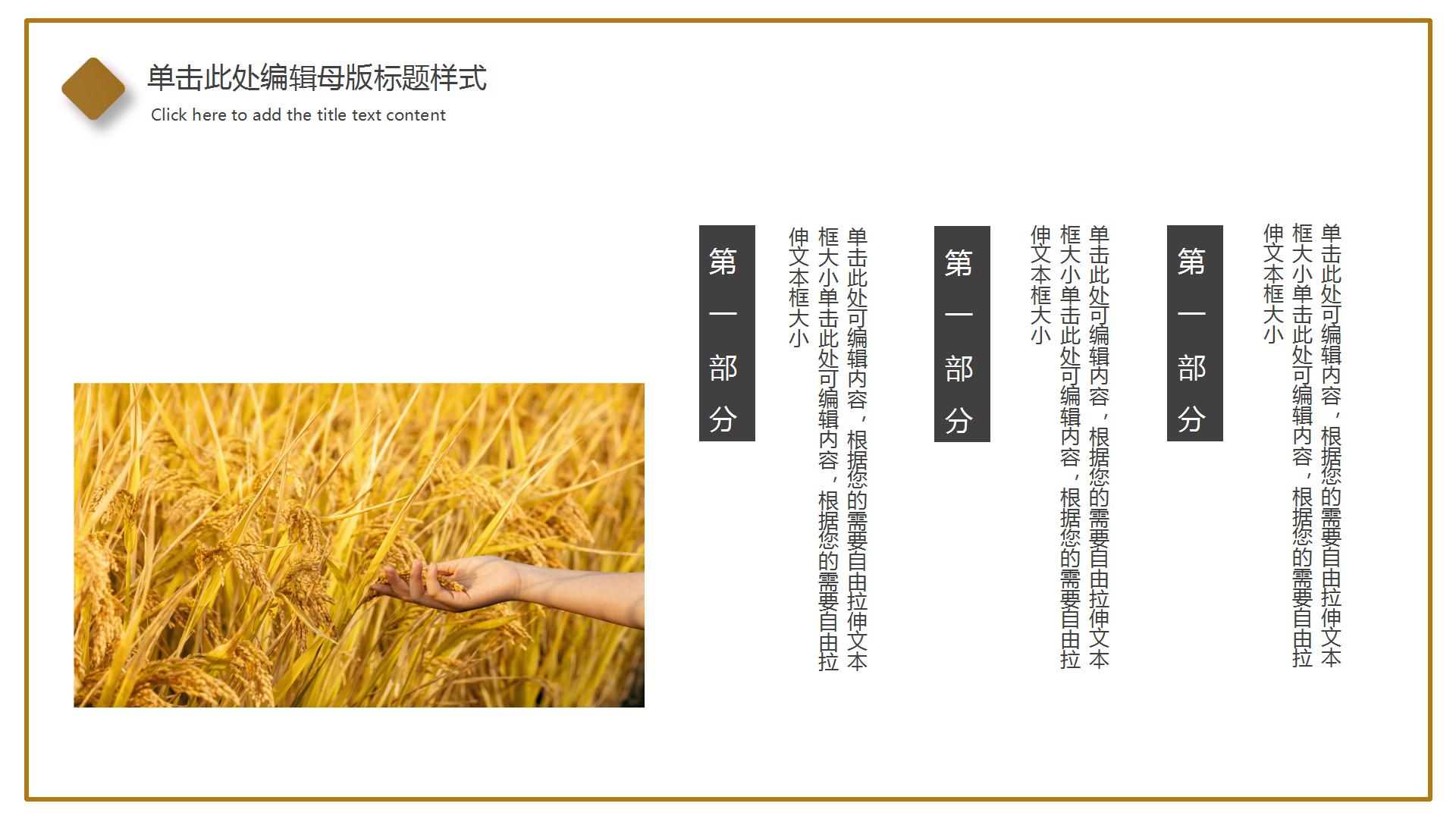 2020勤俭节约光盘行动ppt模板