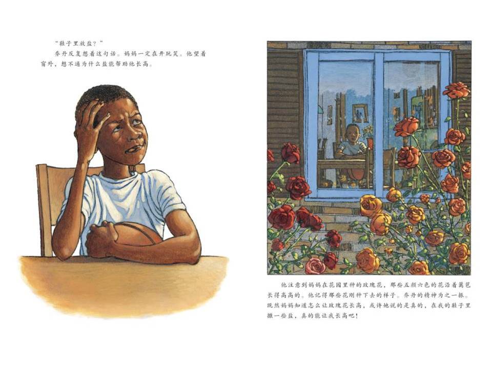 《鞋子里的盐》绘本ppt模板