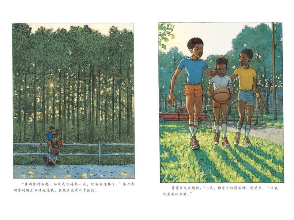 《鞋子里的盐》绘本ppt模板