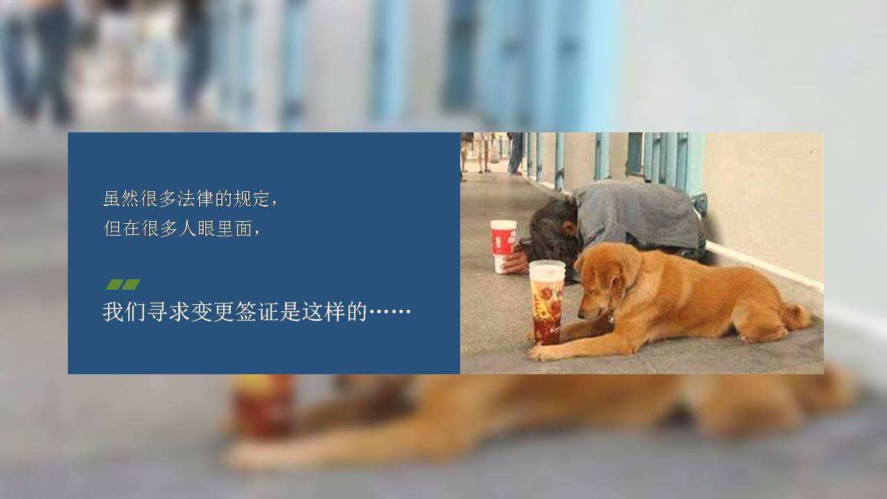 极简设计汇报ppt模板