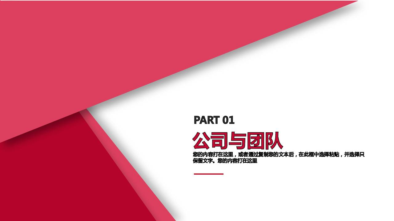 项目推广公司介绍ppt模板