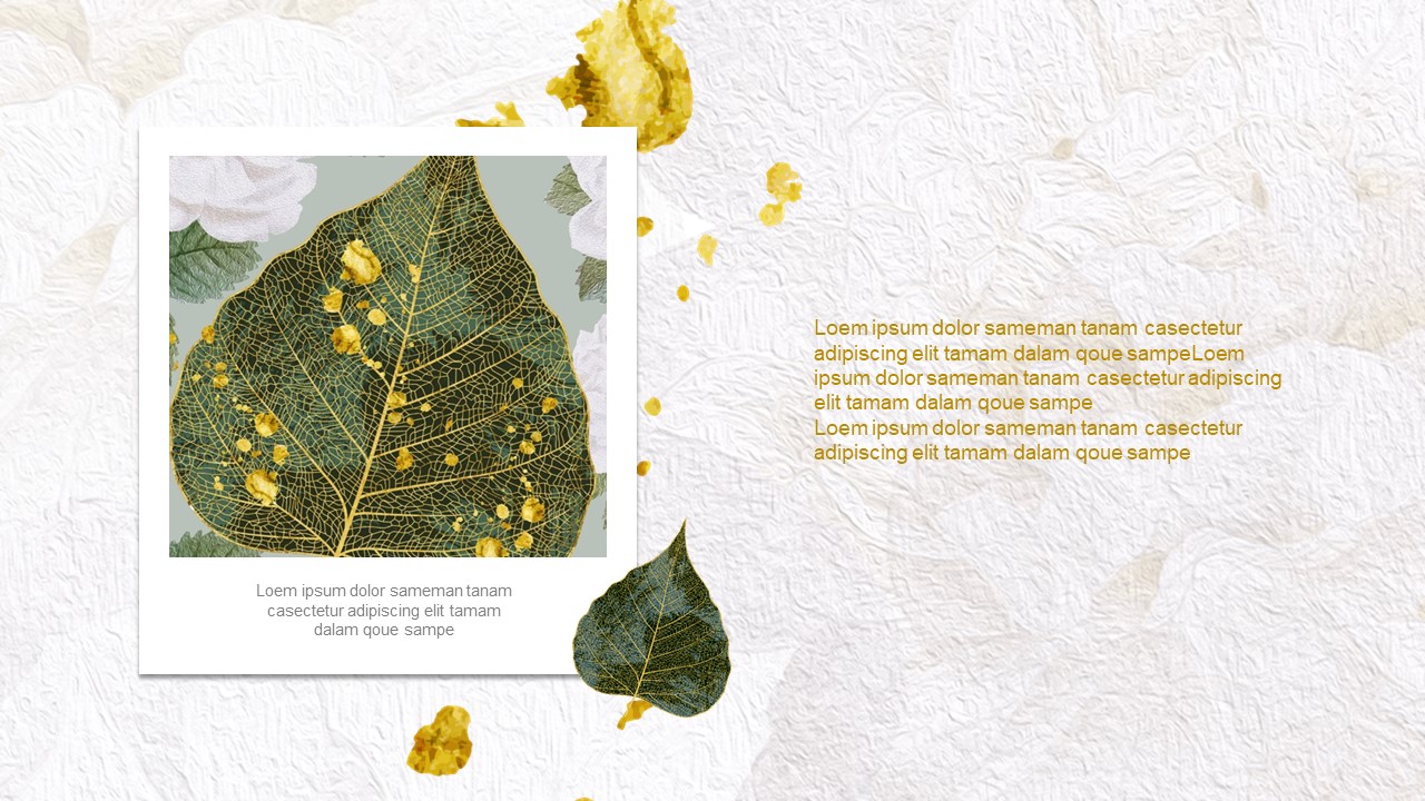 图片[5]-清新大气实用年终总结会议报告ppt模板-聚给网