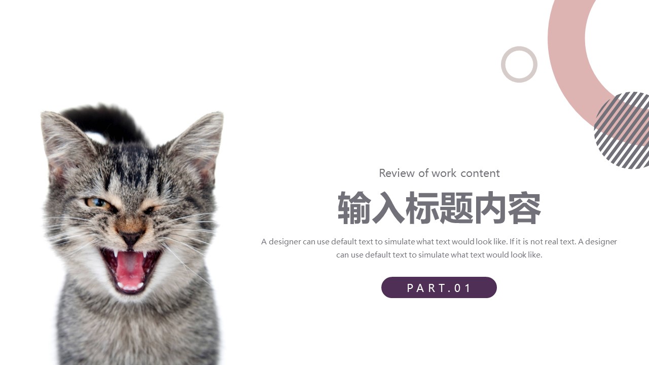 图片[3]-几何风宠物护理知识科普ppt模板-聚给网