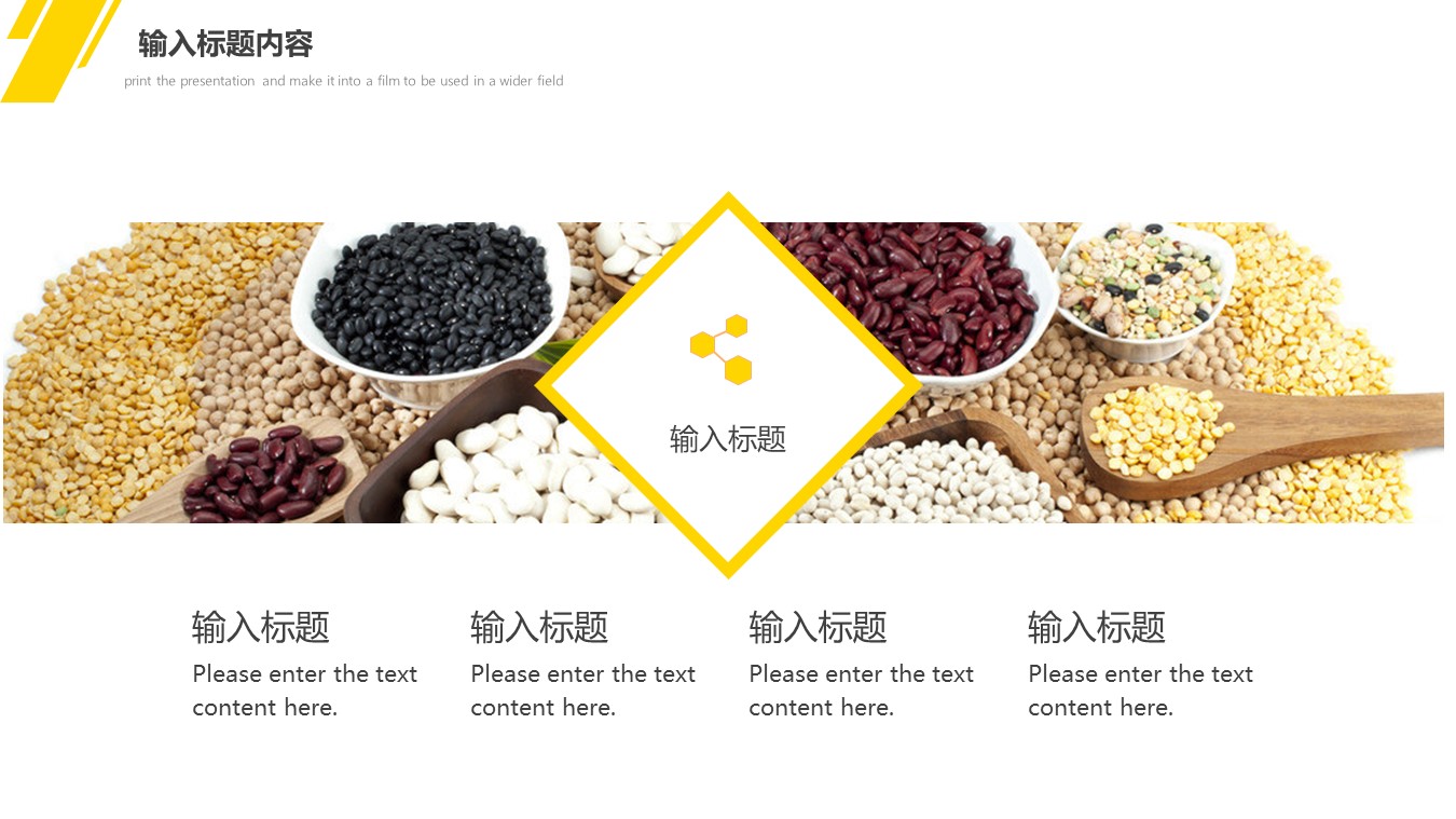 图片[13]-简约光盘行动商务计划书ppt模板-聚给网